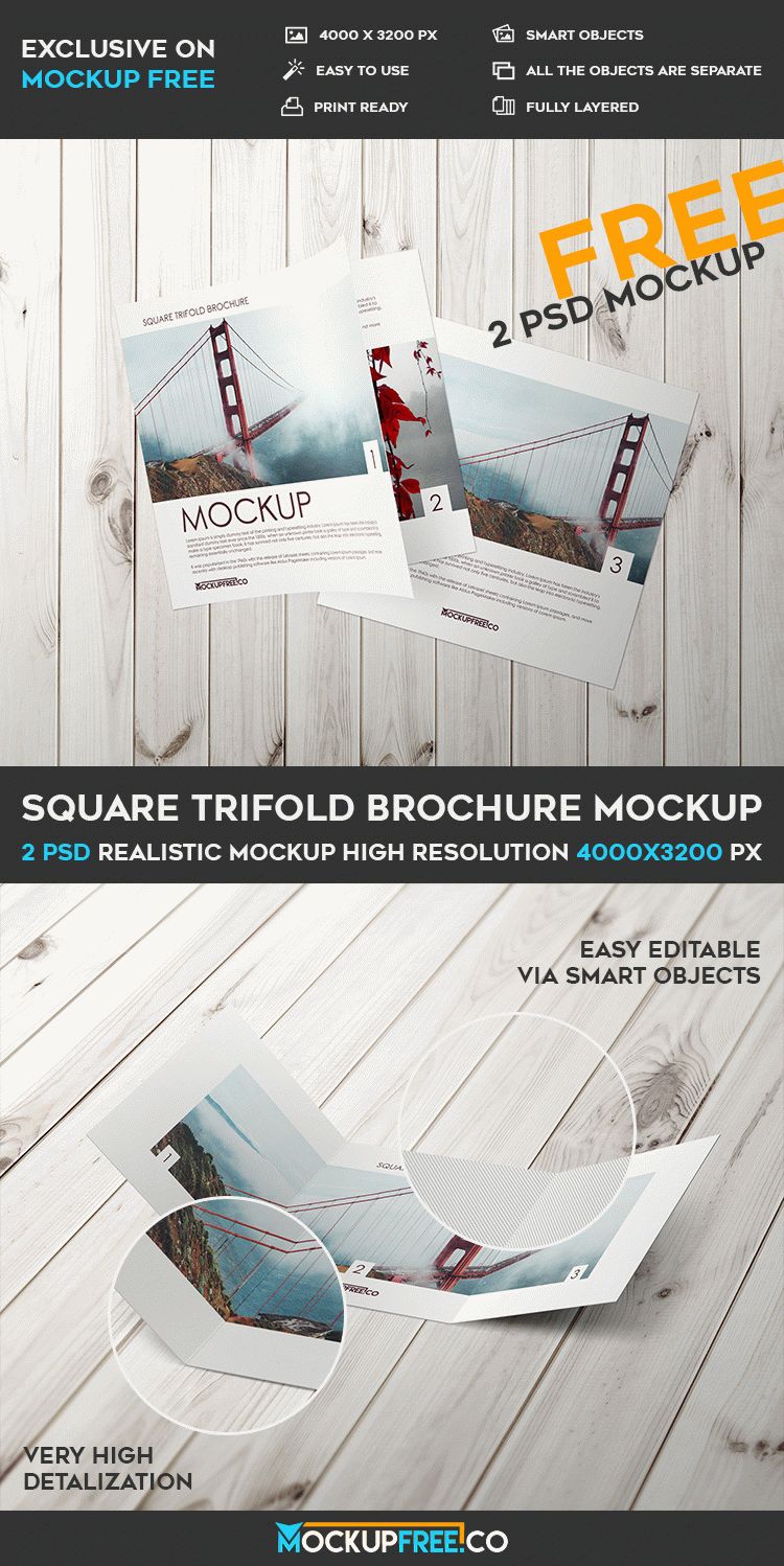 Download Square Trifold Brochure - 2 Free PSD Mockups | Download