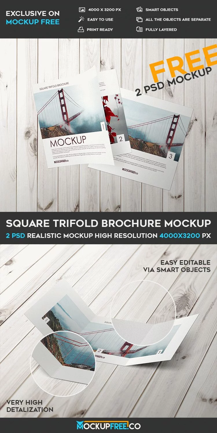 Square Trifold Brochure – 2 Free PSD Mockups
