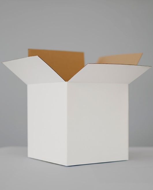 Download Free Cardboard Box Mockup | Download