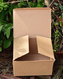 Download Free Cardboard Box Mockup | Download