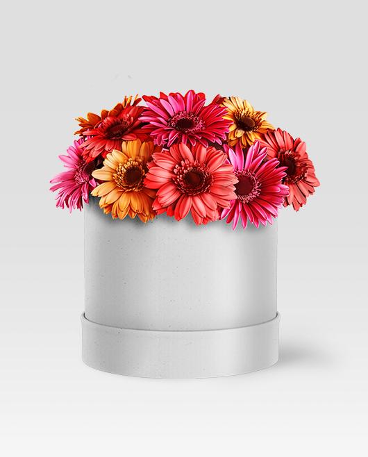 Premium Flower Box Mockup PSD Pack for Photoshop